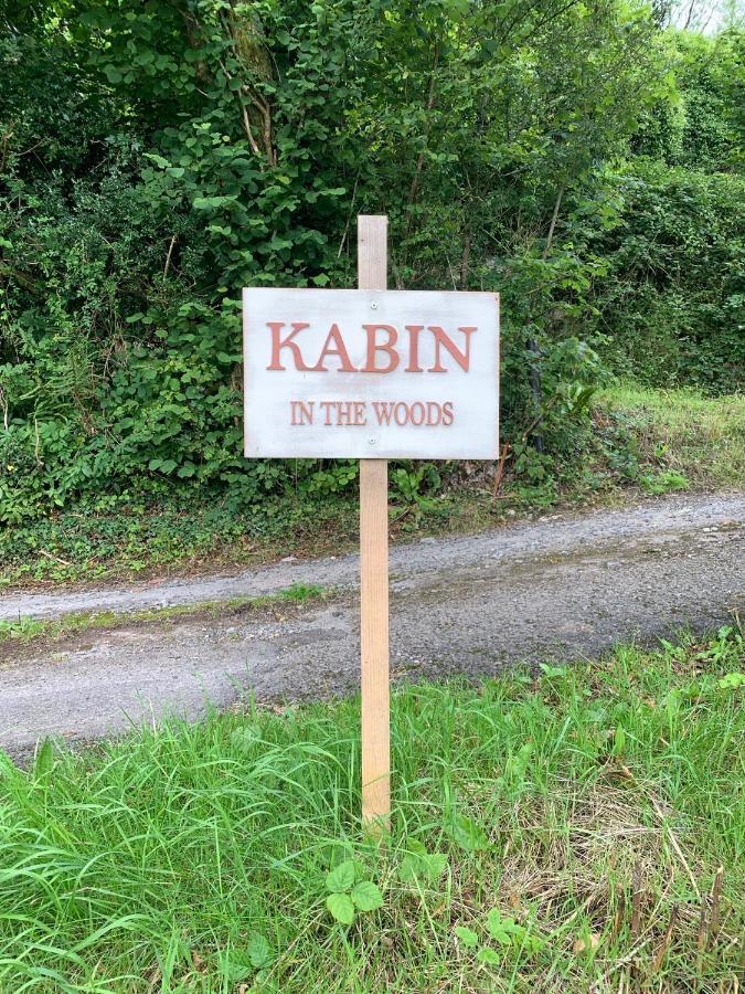Kabin In The Woods Llandybie Exterior foto